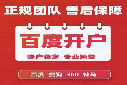SEM搜索引擎优化成功案例，揭示优化策略与技巧